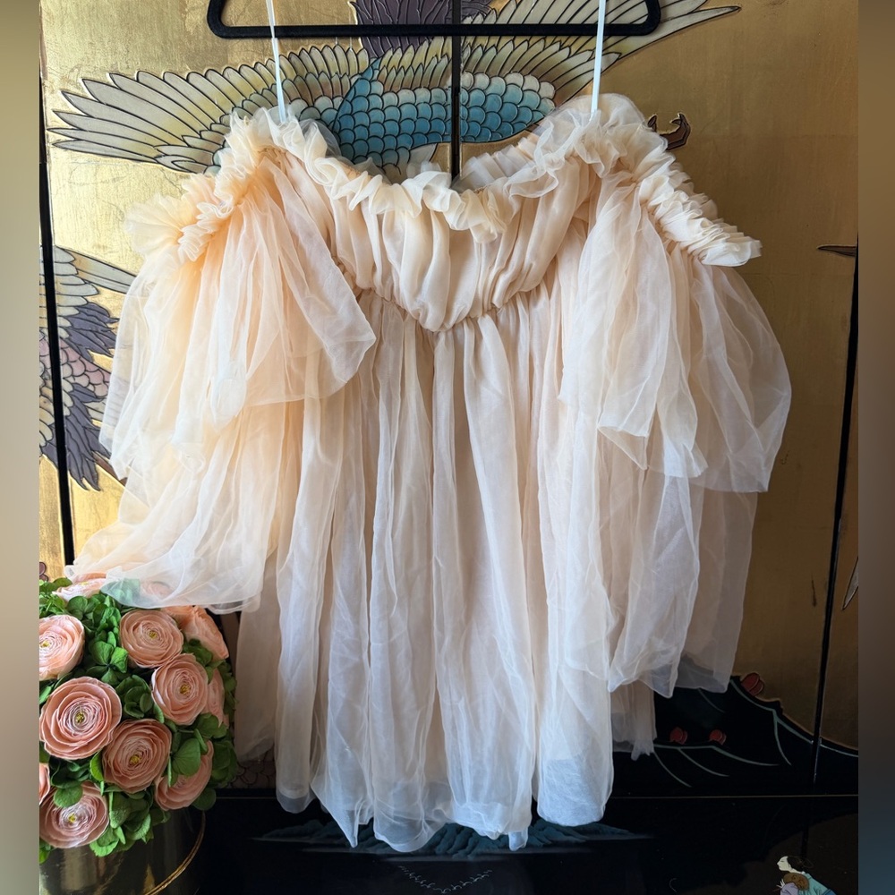 NEW Whimsical Tulle Babydoll Cream Mini Dress - Off-Shoulder,Flare Sleeve - M - Picture 3 of 6